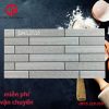 285k-gach-trang-tri-25x50-CP-DAS2516