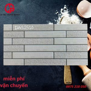 285k-gach-trang-tri-25x50-CP-DAS2516