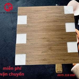 305k-gach-gia-go-20x100-TT201006