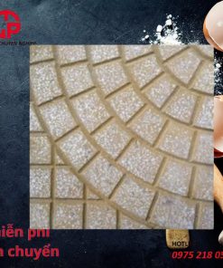 75k-gach-xi-mang-lat-san-terrazzo-canh-quat-vang