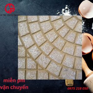 75k-gach-xi-mang-lat-san-terrazzo-canh-quat-vang